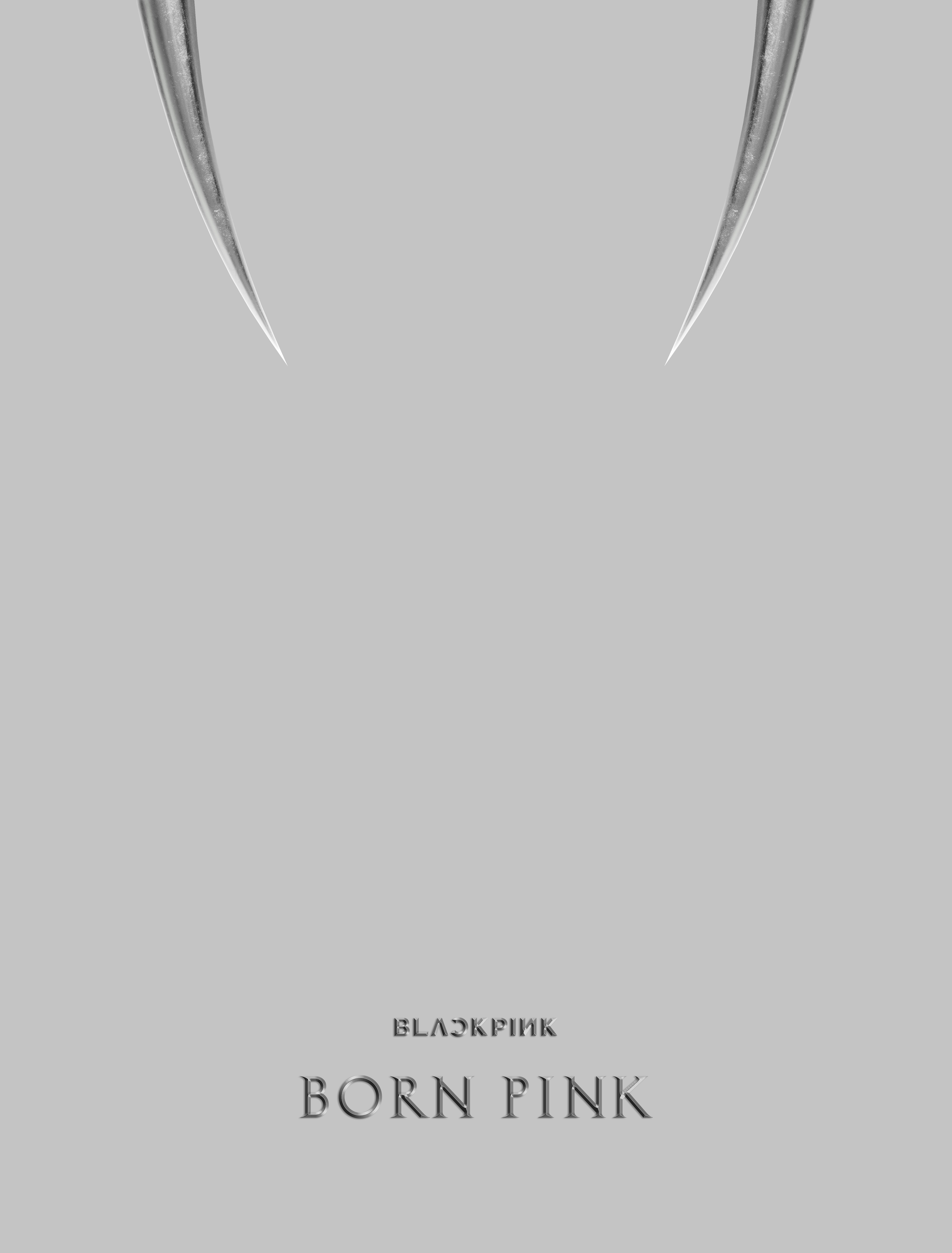 BLACKPINK (BLACKPINK) - 2nd ALBUM [BORN PINK] BOX SET [GRAY ver.]
